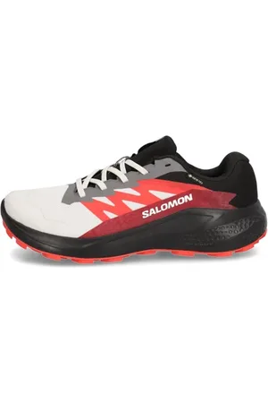 Salomon ALPHAGLIDE GTX