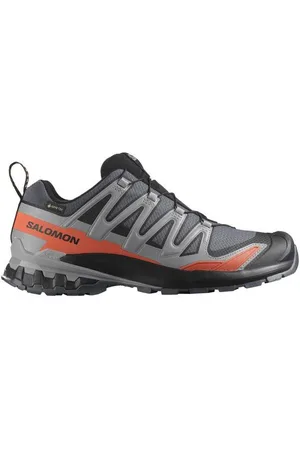 Salomon Herren XA Pro 3D V9 GTX grau 44.0