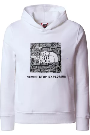 The North Face Off Mountain Logowear Hoodie Kinder