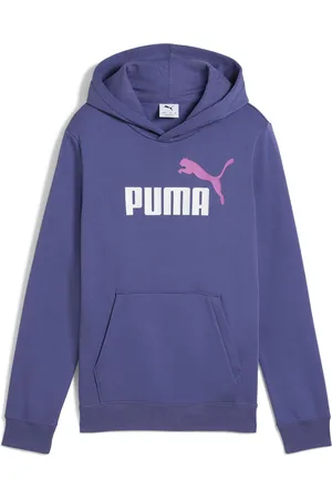 PUMA ESSENTIALS 2 COLOR LOGO Hoodie Jungen