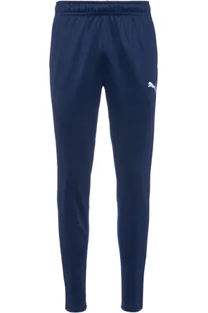 PUMA TeamGOAL Trainingshose Herren