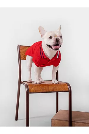 Tommy Hilfiger Hunde-Poloshirt mit Flag am Kragen